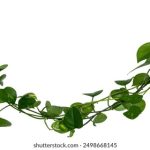 CCTV一丨在线直播高清流畅观看入口 32949