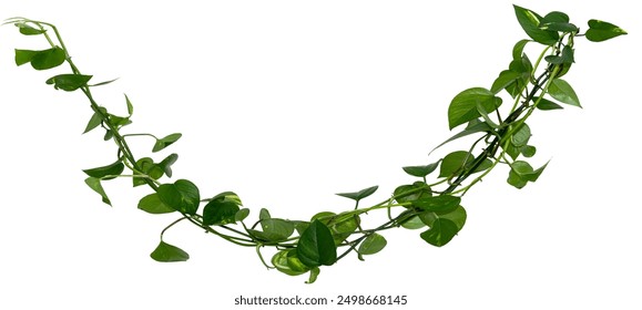 CCTV一丨在线直播高清流畅观看入口