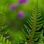 CCTV9在线直播电视:探索纪实频道高清流畅观看指南 43yczif1a6