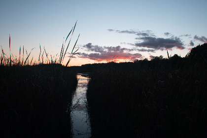 金冠平台用户体验分享：成功案例与实用技巧