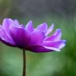 CCTV6电影频道今日在线直播节目单全览 f3u57p8qz