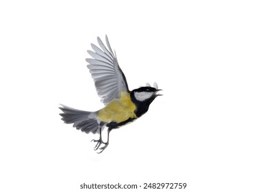 CCTV全程高清直播世界杯精彩赛事不容错过