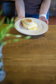 金博士：探索科学前沿的杰出学者与研究者