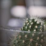 CCTV5风云足球频道高清赛事在线直播 pkjz1l9