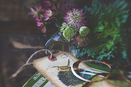 CCTV怀旧剧场经典重温，独家直播好剧连播不停歇